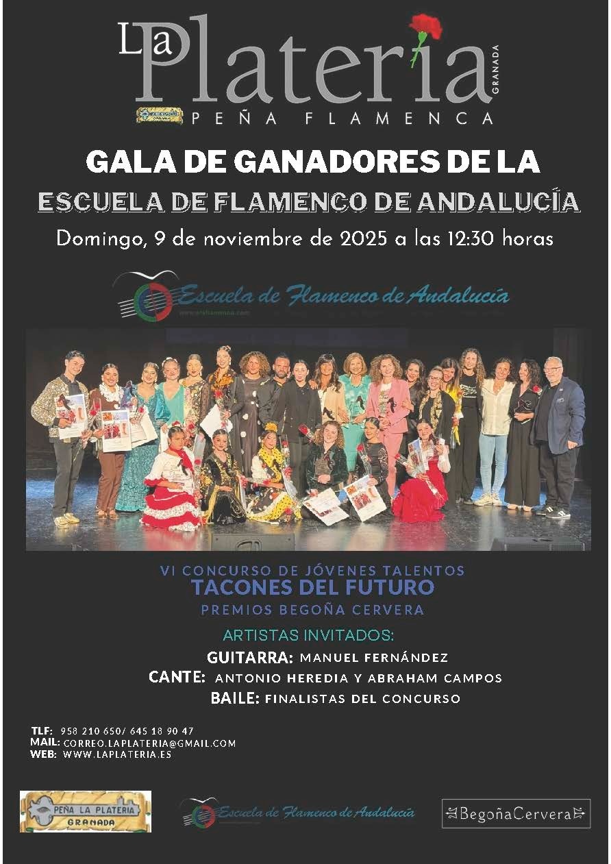 Matinal domingo 9 de noviembre de 2025